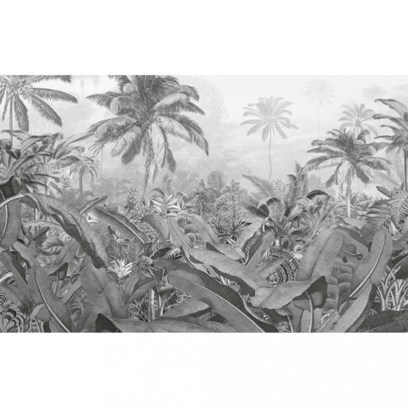 Komar Amazónia fekete-fehér fényképfreskó 400 x 250 cm (434229)
