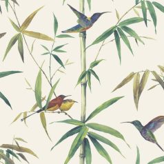 Noordwand ekrü kolibri és bambusz tapéta (431356)